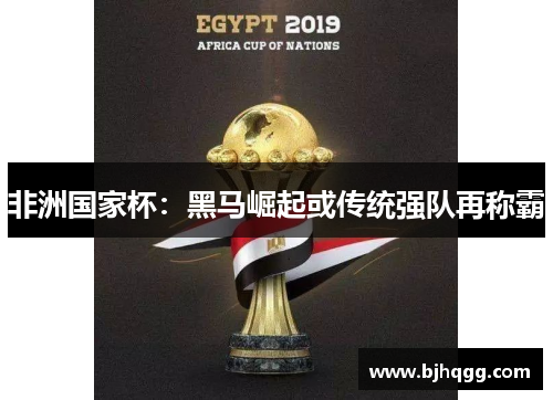 非洲国家杯:黑马崛起或传统强队再称霸 非洲国家杯:黑马崛起或传统强队再称霸