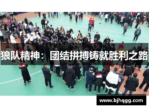 狼队精神：团结拼搏铸就胜利之路