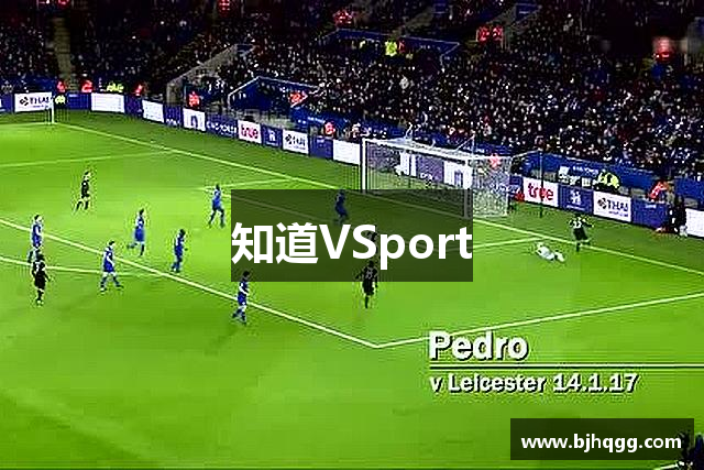 知道VSport